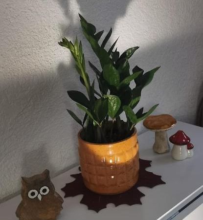 Ruhige Sout. Whg. Feldrandnaehe Apartman Seligenstadt Kültér fotó