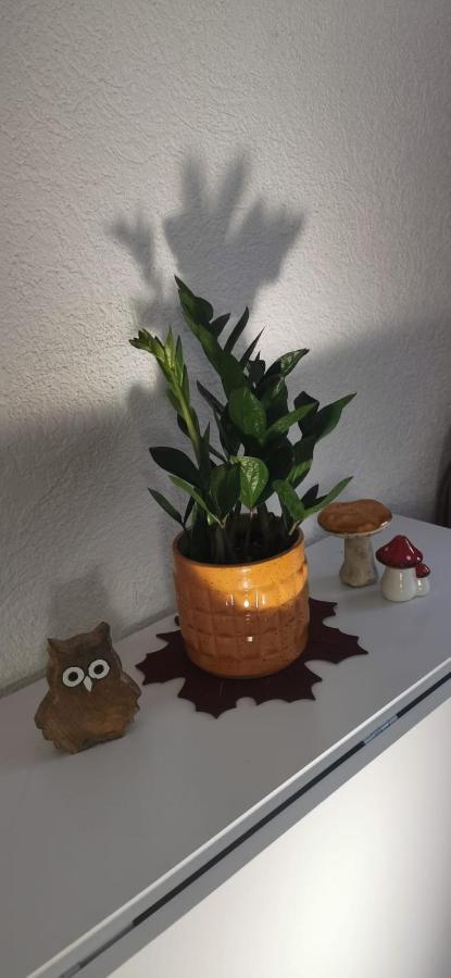 Ruhige Sout. Whg. Feldrandnaehe Apartman Seligenstadt Kültér fotó